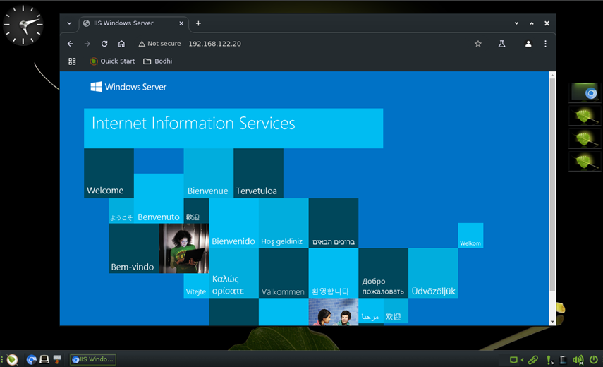 IIS web service running on Windows Server