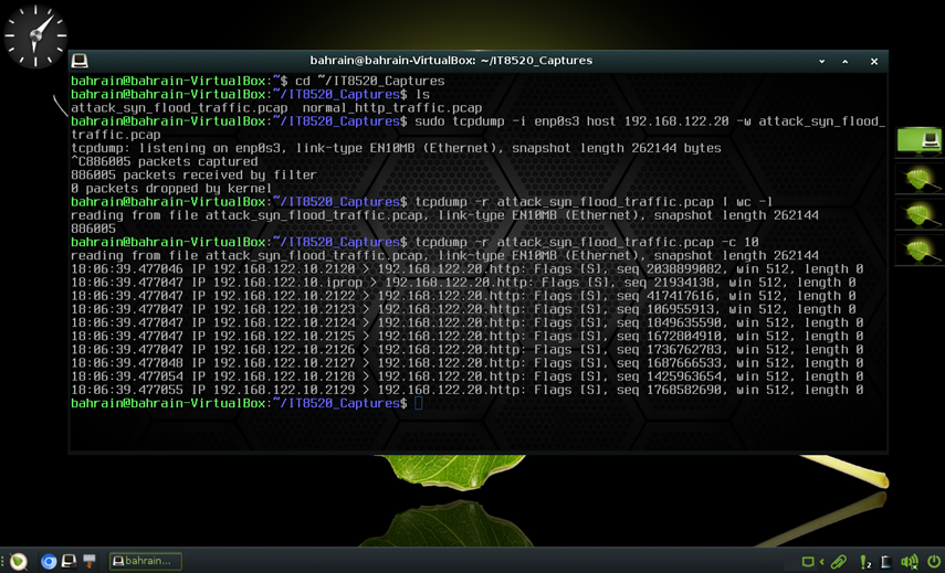 SYN flood capture output