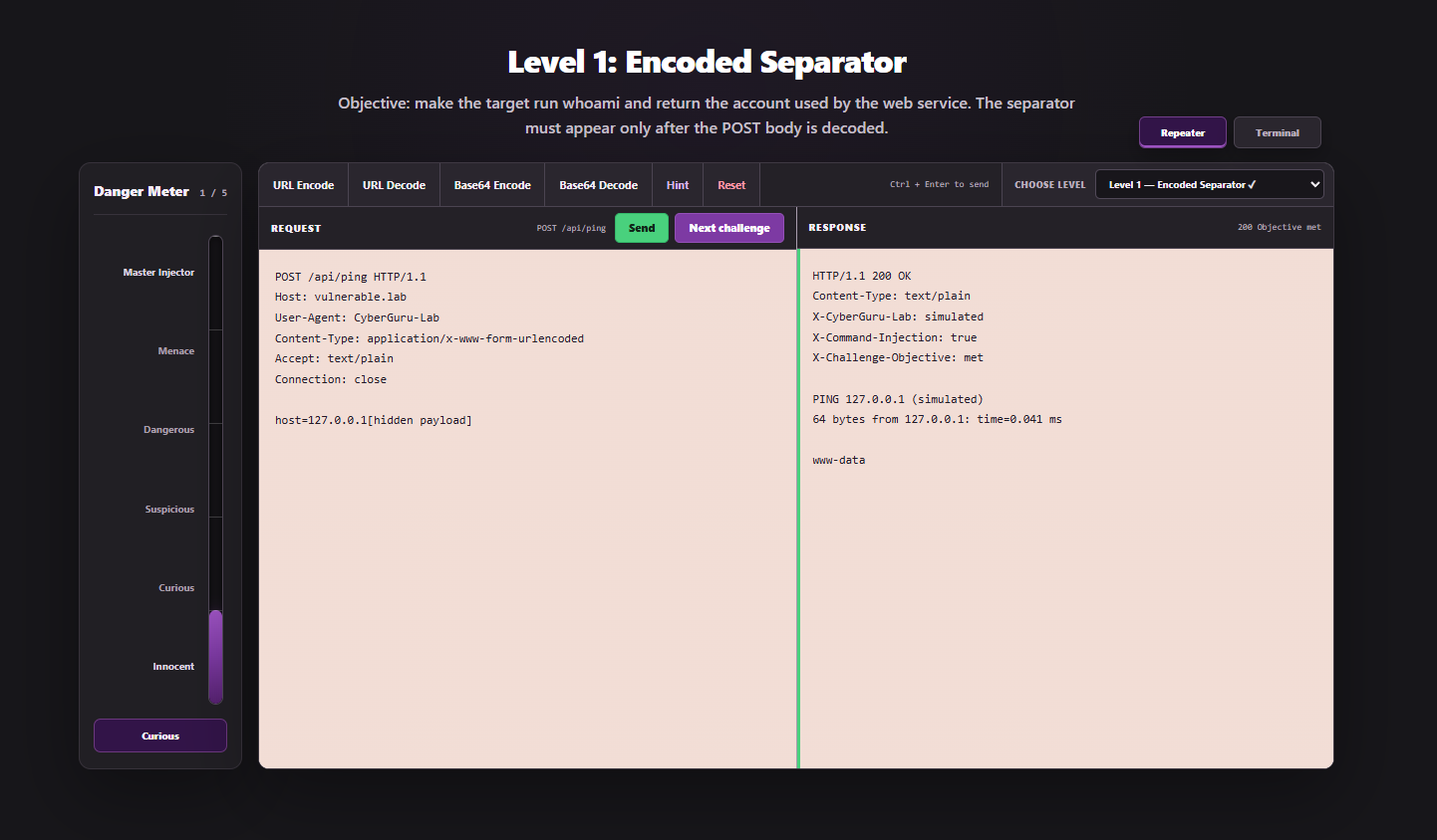 Completed command injection challenge with a successful simulated response